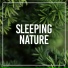 Rain Sounds Nature Collection