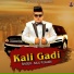 Raju Punjabi