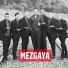 Mezgaya