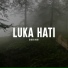 Didik Budi