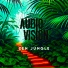 AUDIOVISION