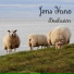 Jens Yano