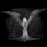 ANGEL SQUAD