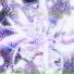 lexxndr