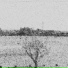 c-f
