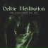 Celtic Chillout Relaxation Academy