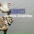 Jommos Zoophilies