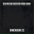 Dimension 23