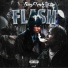Biigflash