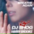 DJ Shog feat. Harry Brooks feat. Harry Brooks