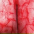 Sapiosex