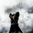 Pipo Kochi