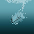 DoppDopp [drivemusic.me]