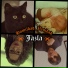Jazla