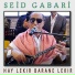 Seid Gabari