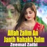 Zeemal Zaibi