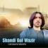 Shandi Gul Wazir