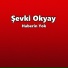 Şevki Okyay