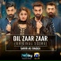 Sahir Ali Bagga