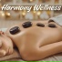 The Spa Guru