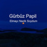 Gürbüz Papil