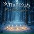 ViTaLiKuS