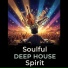 Deep House Jazz Fusion