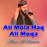 Ansar Al Hussaini