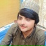 Gull Mashom