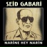 Seid Gabari