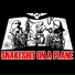 Snakeshit On A Plane