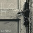Venatic