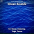 Beach Sounds, Nature Sounds, Ocean Sounds