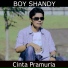 Boy Shandy