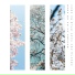 wake me up in spring