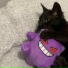 Petrikzx