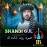 Shandi Gul