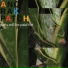 Anorak Patch