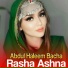 Abdul Haleem Bacha