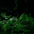ambiente, Alpha Brain Waves, Relaxed Minds