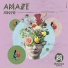 AMAZE (DE)