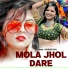 Shirish Pal