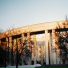 фарфоровые коты