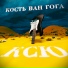 Кость Ван Гога
