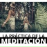 Música Japonesa Maestro