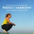 Calming Music Ensemble