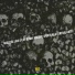 NVS feat. benny holiday, spektkal, central kid