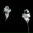Florian Chaigne, Cyril Trochu