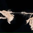 4IRILL