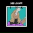 K-MI Shadow